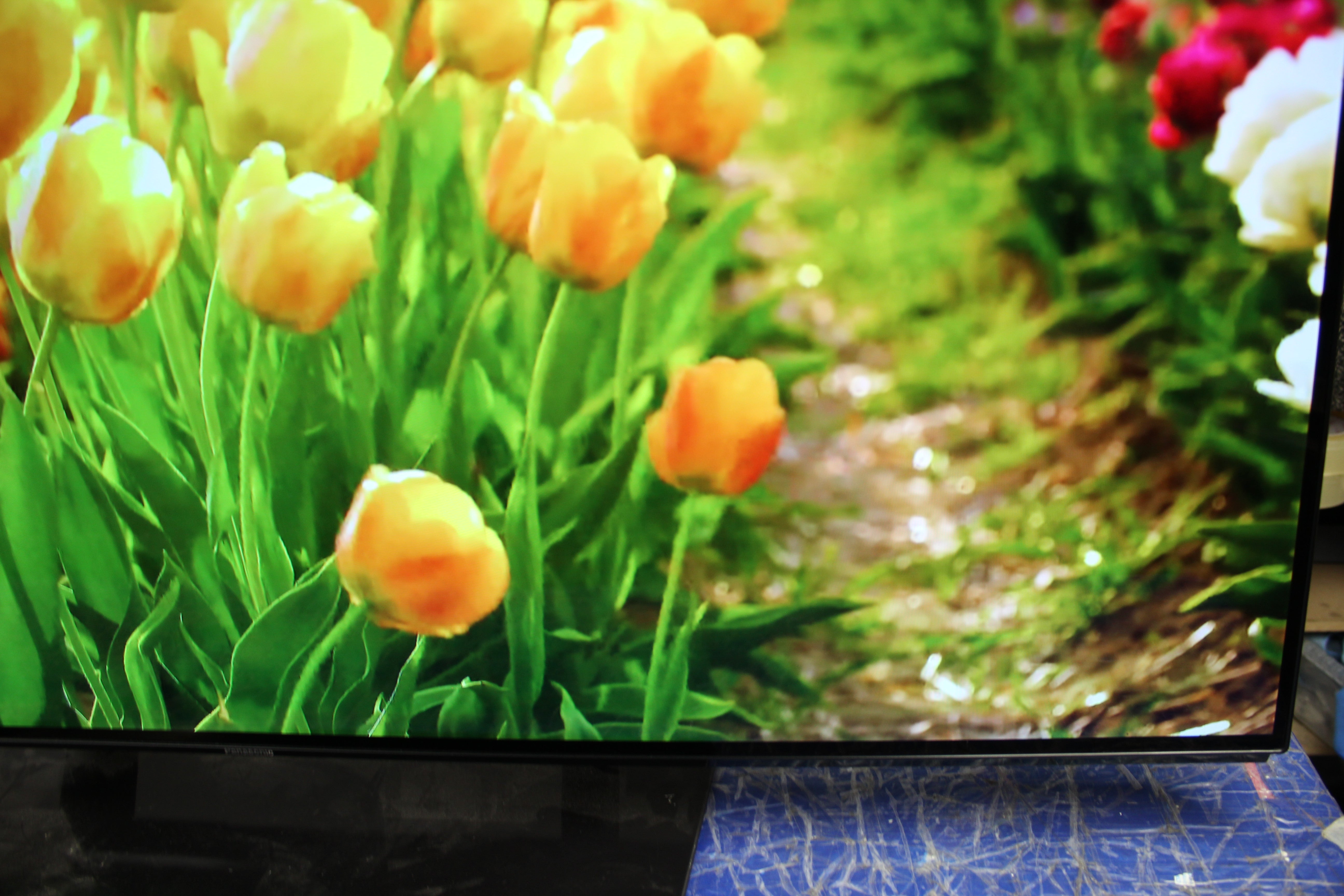 55" Panasonic TX-55GZ950B 4K HDR Smart OLED TV